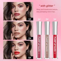 Lip Gloss 6 Color Plumping Makeup Moisturizing Nourishing Reduce Lips Lines Glass Liquid Lipstick Waterproof Tint Make Up