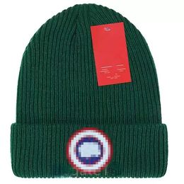 All-match knitted hat ins popular winter hats Classic Letter Print Knitted Caps