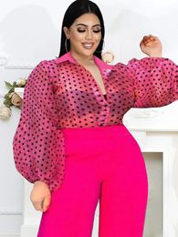 Women's Plus Size TShirt Tops Rose Turn Down Collar Long Puff Sleeve See Through Organza Polka Dot Blouse Office Lady Evening Party Shirts Top 230131