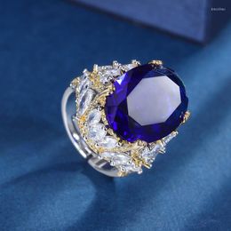 Cluster Rings French Luxurious Trendy Crown Sapphire Stone Adjustable Massive Ring King High Quality Gifts Women's Jewelry Engagement