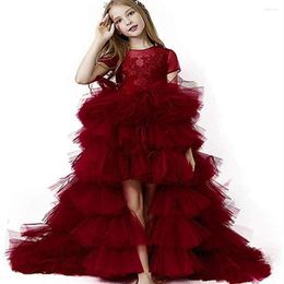 Girl Dresses Wine Red Birthday Party Flower Tulle Short Sleeve Cascading Dress Little First Holy Communion Pageant