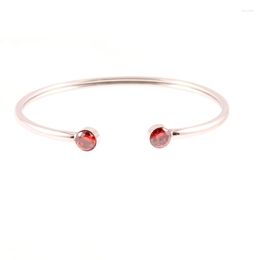 Pulseira pulseira cristal birthstone puf silver cor de aço inoxidável para mulheres pulseiras bangles banges presentes jóias