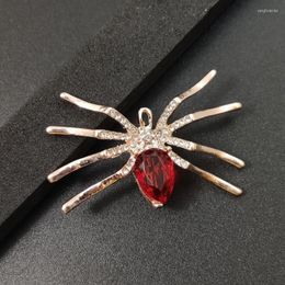 Brooches Exquisite Crystal Spider Brooch For Women Men Vintage Classic Insect Badges Metal Solid Color Jewelry Suit Clothes Pins