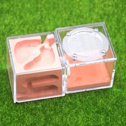 Small Animal Supplies DIY Acrylic Flat Ant Farm with Feeding Area Ecological Nest Pet hill Workshop Castle House 230130