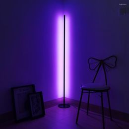 Floor Lamps Modern RGB Led Lamp Decoration Colorful Corner Lights Indoor Lighting Home Living Room Stand Light