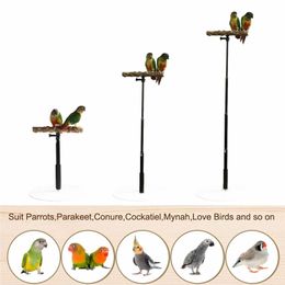 Other Pet Supplies Parrot Desktop Stand Adjustable Playstand For Bird Wood Play Cockatiel Playground With Retractable Design 230130