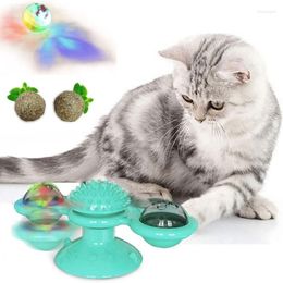 Cat Toys Windmill Toy Interactive Training Education Game Whirligig Turntable For Kitten Brush Teeth Animals Accessories