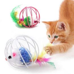 Cat Toys 6XDE Tube Spring Toy Interactive For Indoor Cage Mice Colorful Coil Kitten (Random Color)