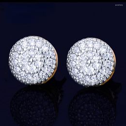 Stud Earrings Gold Colour Small Round Earring Cubic Zircon Screw Back Men Fashion Hip Hop Jewellery Luxury