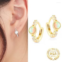 Hoop Earrings 925 Sterling Silver Women Fashion Jewellery Micro Zircon Gold Plated Drop