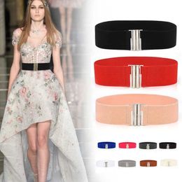Waist Chain Belts for Women Black Simple Elastic Ladies Waistband Square Buckle Decoration Coat Sweater Fashion Dress Rice White