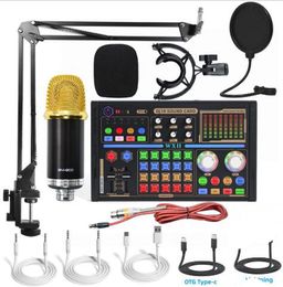 BM 900 DJ18 Professional Audio Microphones V8s Pro Sound Card Set BM900 Mic Studio Condenser for OTG Type-C TV Live Vocal Recording Podcast Performance Youtube Tiktok