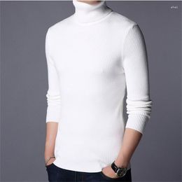 Men's Sweaters Mens Autumn Winter Thick Warm Pullover Men Knitted Cashmere Wool Sweater Heavy Turtleneck Jumper