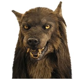 Masks Werewolf Headwear Party Costume Mask Headwear Costume Mask Wolf Mask Adults Halloween Party Cosply Wolf Full Face Cover Practical Joke HKD239965