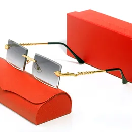 Women Designer Sunglasses Mens Snake Frame Glasses Luxury Polarised Sunglass Classic Peculiar Sun Glass Outdoor Rimless Rectangle Eyewear Womens Eyeglasses