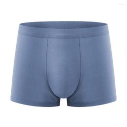Underpants Mens Underwear Sexy Shorts U Convex Pouch Modal Oft Trunks Elastic Lingerie Gay Bulge Panties Knickers