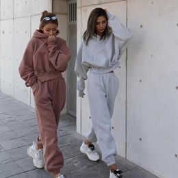 Women's Hoodies 2023 Warm Hoodie And Pants Set Oversized Sportwear Tracksuit Autumn Winter Suits On Fleece For Women Y2k