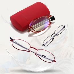 Sunglasses Portable Anti-blue Light Presbyopia Eyeglasses With Case Women Men Retro Folding Reading Glasses HD Resin Far Sighted Eyewear