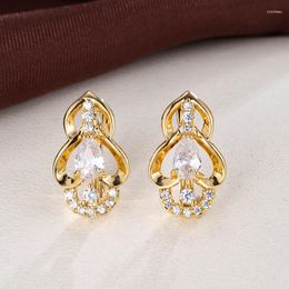 Stud Earrings Ladies Fashion Personalised Double Heart Zircon Small Fresh