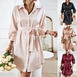 Diyun Blouse Dress Womens Autumn Winter Elegant Long Sleeved