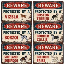 Beware Protected By A Vizsla Dog Metal Signs Warning Dog Tin Poster Home Wall Art Painting Decorative Painting For Bathroom Living Room Custom Gift 30X20CM w01