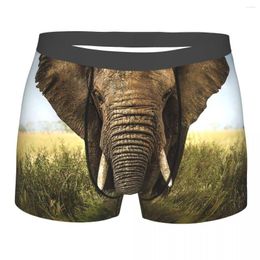 Underpants Elephant Portrait Breathbale Panties Male Underwear Print Shorts Boxer Briefs