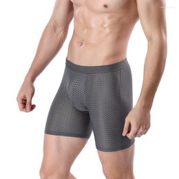 Underpants Men's Sports Underwear Boxer Briefs Running Ice Silk Mesh Breathable Extended Long Anti-Wear Leg