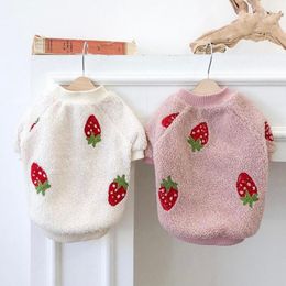 Dog Apparel Strawberry Embroidery Pet Dogs Clothes Cute Winter Warm Fleece Sweater Cotton Puppy Chihuahua For Small Clothing Perro