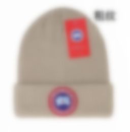 Beanies for Men & Women Pullover Cap Unisex Elasticity Autumn Winter Warm Goose Letter Casual Stripe Hat