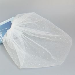 Bridal Veils 2023 Whitney Wedding Collection White Black Dot Net Birdcage Veil With Comb Headpiece Blusher Velos De Novia