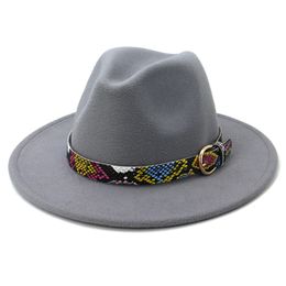 Wide Brim Hats Bucket Sell Winter Arrivel Grass Green Lake Blue Woolen Felt Fedora Hat for Women Men Jazz Panama 230801