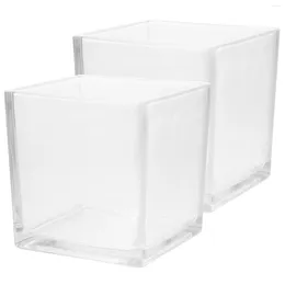 Vases Square Vat Clear Cube Flower Vase Delicate Terrarium Floral Holder Home Decoration