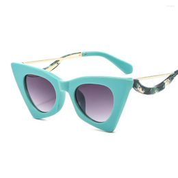 Sunglasses Cat Eye Women Vintage Triangle Outdoor Shades Men Driving Sun Glasses UV400 Eyewear Oculos Gafas