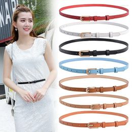 Belts Women's Belt Delicacy Korean Decorative Dress Candy Colored Waist Chain Simple Needle Buckle