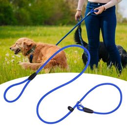 Dog Collars Leash Slip Chains Collar Leads Strong Heavy Duty Nylon Rope No Pull Pet Training For Small Dogs Puppy Traction