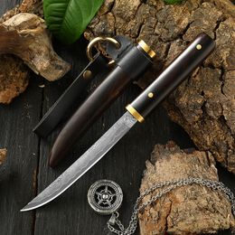 Damascus steel VG10 portable knife, fruit knife, meat knife, exquisite collection, sharp blade, small straight knife Utility