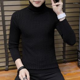 Men's Sweaters 2023 Autumn And Winter Casual Trend High Neck Knitted Polo Pullover Sweater Men Knit Mens