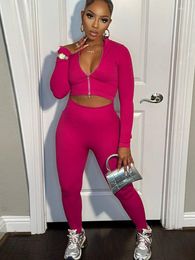 Women's Two Piece Pants Set Women Solid Tracksuits Sexy Zipper Long Sleeve Crop Top High Waist Pencil Outfits 2023 Spring Fall Joggers