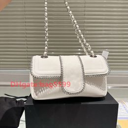 2023 Designer bag channel silver Chain Bag Retro Soft Trunk Womens Box Bag Cosmetic Case Luxury Tote Handbag Clutch Genuine Leather Cross Body Shoulder Chain Bag 9.8in