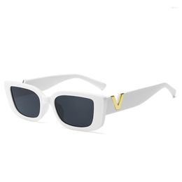 Sunglasses European And American V-shaped Small Frame Square Trendy Fashionable Women's Retro Street Po