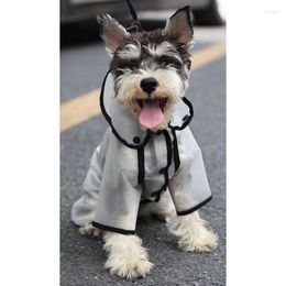 Dog Apparel 2023 Raincoat Clothes Small Four Legged Thin Waterproof Printed Letters Pet Supplies