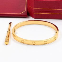 Elegant Design Fashion Stainless Steel Screw Bangle Gold Plated Cuff Bracelet for Men Women