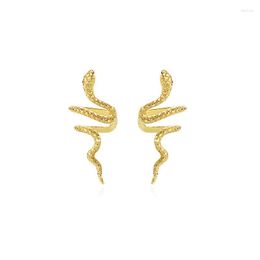 Stud Earrings Summer Animal 2023 Trend Party Earring In Ear Decoration Fashion Jewellery Vintage Hoop Accessories For Woman And Men Gifts