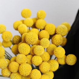 Decorative Flowers 20pcs Natural Dried Craspedia Billy Balls Golden Orbs Eternal Preserved Flower Home Office Wedding Decoration Table