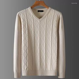 Men's Sweaters Pure Mink Velvet Cashmere Knitwear Sweater High Lapels Pullovers Knitted Winter Tops Long Sleeve High-End Jumpers D87
