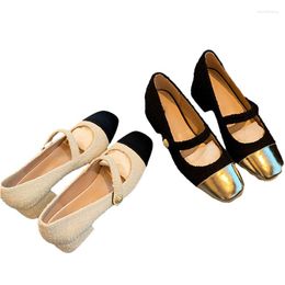 Dress Shoes French Design Woollen Mixed Colour Gold Buckle Line With Chunky Heel Round Head Mary Jane Women Christmas Autumn Winter