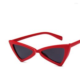 Sunglasses 2023 Fashion Triangle Small Frame UV400 Shades Polarized Vintage Eyewear Outdoor Sun Protection Glasses