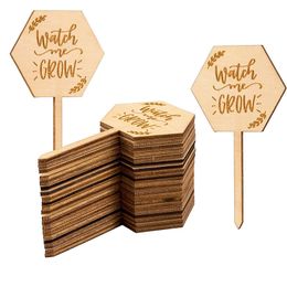 Thank You for Helping Me Grow Succulent Tags Teacher Appreciation Gifts Wooden Plant Stakes Labels for Thanksgiving KDJK2305