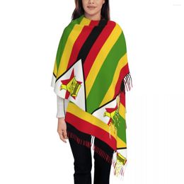 Scarves Personalised Printed Zimbabwe Flag Long Pile Fringe Men Scarf Women'S Anti Chill