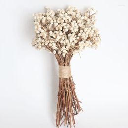 Decorative Flowers About 30g/10-25CM Real Mini Fruit Natural Dried Small Flower Bouquet White Fruits For Home Decor Weddinng Decorations